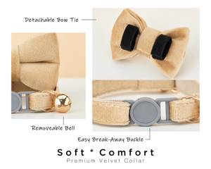 Collier pour chat personnalisé beige Breakaway Veet avec nœud papillon et laisse, gravure personnalisée du nom du chaton, boucle de sécurité, clochette dorée gratuite, pour femelle - Product Image 5