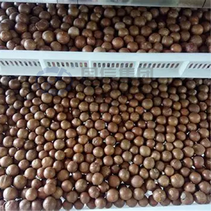 Horno de Secado Inteligente OEM para el Procesamiento de Alimentos, Hierbas y Forsythia, Bomba de Acero Inoxidable de Ahorro Energético - Product Image 3