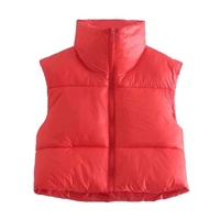 Vestes bouffantes pour femmes, haut court à bulles, vestes bouffantes pour dames, manteaux en duvet, grande taille, vestes d'hiver à la mode