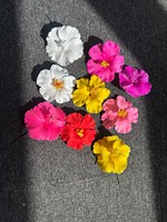 Vente en gros d'oeufs tropicaux en mousse têtes de fleurs artificielles EVA Plumeria têtes de fleurs pour décor hawaïen