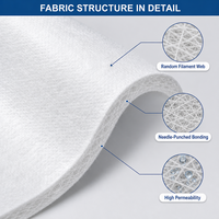 Tissu géotextile non tissé haute résistance, géotextile en PP aiguilleté 200gsm 300gsm pour la protection des pentes et la construction routière