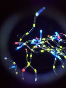 Fibras de Seguridad UV Multiespectrales Tipo Arcoíris y Estrella para Etiquetas de Embalaje, Autenticación de Cupones y Vales, Protección de Marca - Product Image 4