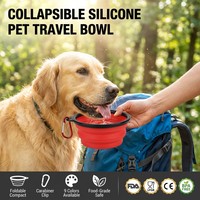 Bol pliable pour chien en Silicone, Logo personnalisé, bols pour animaux de compagnie, voyage