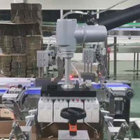 Intelligence robotique à commande électrique pour un emballage précis par préhension et placement. Assure un chargement de casiers efficace et précis.