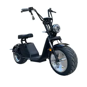 Experienced Manufacturer Electric Bike Electric Bicycle Citycoco Spare Parts Supplier