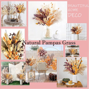 Dried Flowers Dry <strong>Pampasgrass</strong> Decoration Natural Pampas Grass Bouquet for Home Bohemian Autumn - Product Image 6