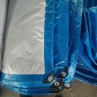 Bâche en PE tissée enduite robuste, imperméable, bleue et blanche, pour toiture, potager et abri automobile