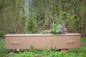 <span class=keywords><strong>Cercueil</strong></span> de papier d'insertion de location de <span class=keywords><strong>cercueil</strong></span> de crémation de <span class=keywords><strong>carton</strong></span> d'usine professionnelle pour la crémation - Product Image 3