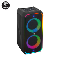 Enceinte portable sans fil Diamond Speaker Factory double 6,5 pouces avec lumière LED RGB pour fêtes et karaoké en extérieur