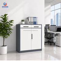 Armario Archivador, Armarios de Almacenamiento Personalizados, Ensamblaje de Gabinetes Modernos para Oficina/Gimnasio/Cocina/Garaje/Industria, Armario Archivador de Acero
