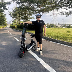 Trottinette électrique pliable avec grand pneu de 13 pouces, double moteur, logo sur la barre et la plateforme, et logo - Product Image 1