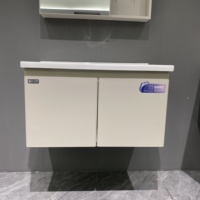 Ensemble de meubles-lavabos muraux en céramique WJL modernes, résistants à l'humidité, avec miroir, faciles à nettoyer, pour hôtels et salles de bain