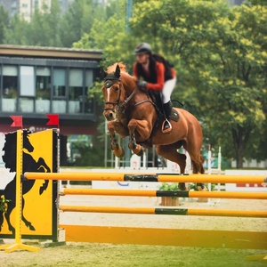 Spectacle équestre écologique de style occidental Obstacles de saut d'obstacles Poteau en PVC léger personnalisable Sauts de <span class=keywords><strong>cheval</strong></span> en aluminium - Product Image 5