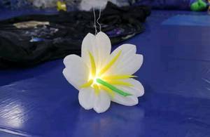 Single Stem Real Touch Bảo Quản LED Light Rose Wedding Flower Đối Với Sự Kiện - Product Image 3