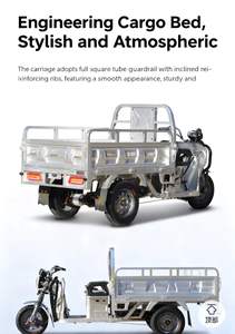 Трехколесный электрический мотоцикл Songsheng для сельского хозяйства и отдыха, грузоподъемность 300-400 кг, система впрыска топлива Kingdom Four - Product Image 2