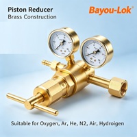 Régulateur de pression de gaz en laiton à piston avec double manomètre, vanne de réduction pour O2, N2, Ar, He, Air, H2, Propane, CO2, homologué CE, logo personnalisé