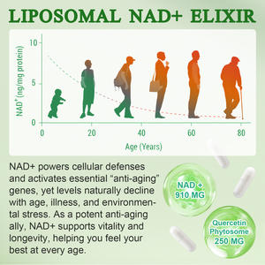 1000 mg NAD+ Kräuterextrakt-Kapseln, Nicotinamid-Ribosid-Resveratrol-Nahrungsergänzungsmittel, Nicotinamid und Resveratrol, 120 Kapseln - Product Image 3