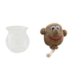 Grashoofd Speelgoed Pop Potplanten Desktop Decoratie Ecofly Groeien Planten Educatieve Kit Uniek Cadeau Voor Kinderen En Volwassenen - Product Image 5