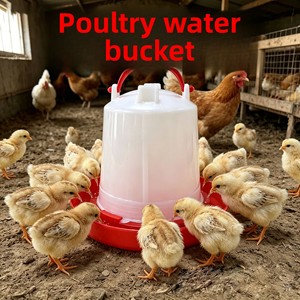 <span class=keywords><strong>Abreuvoir</strong></span> automatique pour poulets, canards, oies, blanc/rouge, petit équipement d'élevage de poussins, équipement d'élevage de volailles - Product Image 3