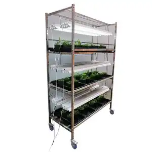 Skyplante — système hydroponique pour culture de plantes d'intérieur, microvert, semis avec plateaux à lampes