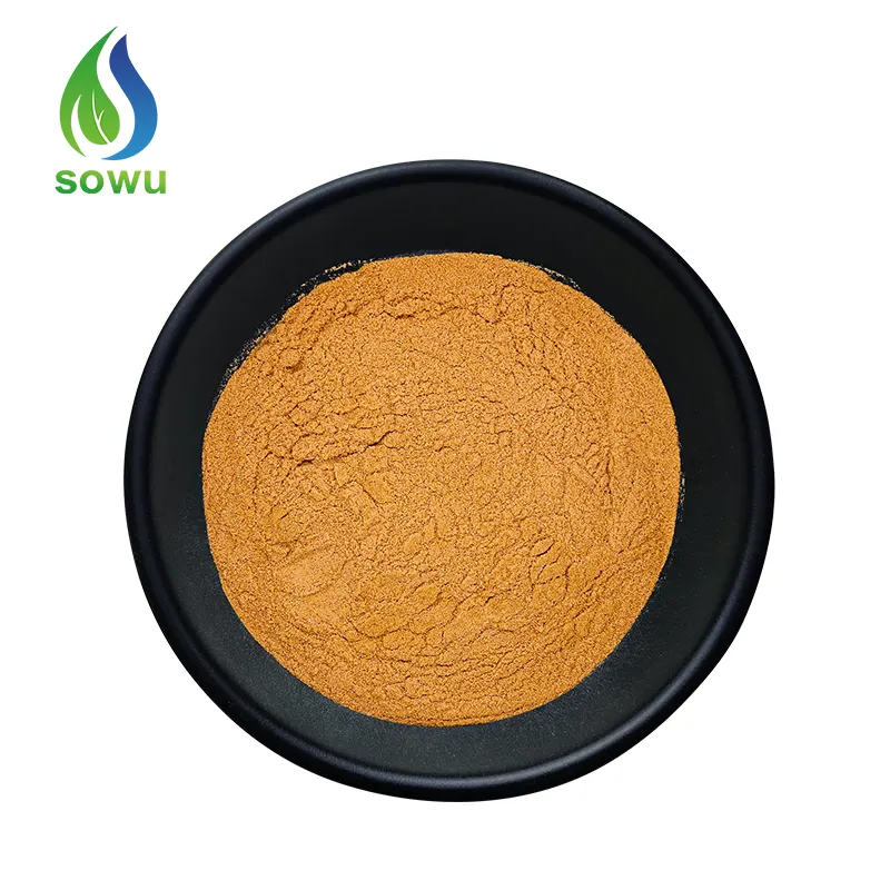 Puur Natuurlijke Curcumine Extract Curcumine Capsules Curcumine