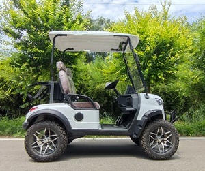 Productos Más Vendidos, Carritos Turísticos de Lujo con Motor de 4kw de Alta Configuración y Neumáticos Todoterreno - Product Image 2