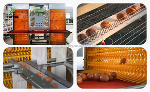 A Tipi Tavuk Kafesi Batarya Kafesi Kolay Kurulum Çiftlik Ekipmanları Yumurtacı Tavuk Kafesi 4 Katlı Yüksek Kapasiteli 1000 Tavuk İçin - Product Image 2