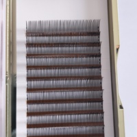 Nouvelles extensions de cils 5D effet éventail naturel, plateaux de cils floraux, fournitures pour extensions de cils, cils individuels effet fée, aspect mouillé