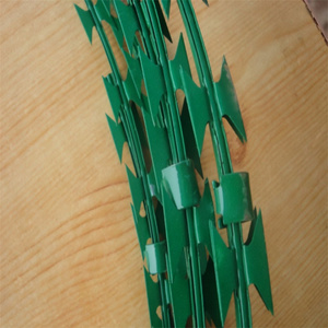 Barrera DE SEGURIDAD DE <span class=keywords><strong>concertina</strong></span> de alta resistencia, cercado de alambre de maquinilla de afeitar galvanizado, revestimiento de PVC, alambre de acero anticaída para seguridad - Product Image 3