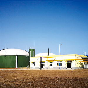 Équipement de <span class=keywords><strong>capture</strong></span> <span class=keywords><strong>et</strong></span> de <span class=keywords><strong>stockage</strong></span> <span class=keywords><strong>du</strong></span> biogaz de qualité supérieure, séparateur de solution d'amines moins corrosive pour le biogaz H2S, <span class=keywords><strong>capture</strong></span> <span class=keywords><strong>du</strong></span> <span class=keywords><strong>CO2</strong></span> <span class=keywords><strong>du</strong></span> biogaz - Product Image 5