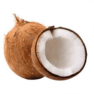 มะพร้าวน้ำหอมอ่อนหวาน เนื้อนุ่ม เหมาะสำหรับการส่งออก - Product Image 6