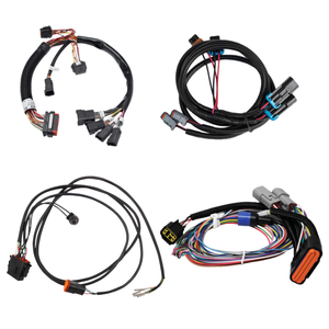 OEM ODM Fabrik Maßgefertigte Auto-Elektrokabelbäume für Motorsteuerungssysteme mit Deutsch DT-Steckverbindern - Product Image 1