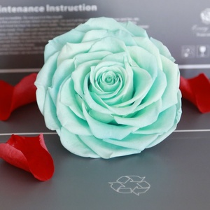 Regalo personalizado de fábrica, artesanía DIY, cabeza de Rosa conservada, flores decorativas de tacto Real de 9-10cm para el hogar, <span class=keywords><strong>boda</strong></span> decorativa - Product Image 6