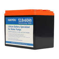 Batterie de stockage d'énergie rechargeable LiFePO4 prismatique au lithium-ion 12V 60Ah OEM d'usine 12.8V solaire HAIYOU 2000 cycles électrique