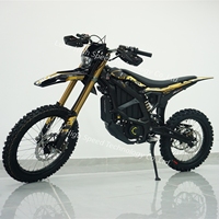 Moto électrique tout-terrain 21 kW Ultra Bee 2026 avec batterie améliorée 74 V 60 Ah