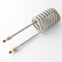 Tube chauffant en spirale en acier inoxydable personnalisé, petit élément chauffant à immersion pour eau, 110V 220V
