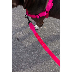 Pink Led Leash For <b>Dogs</b> With <b>Light</b> Up Feature Night Safety Walking Accessory - Product Image 3