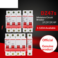 Disjoncteur miniature DZ47S 1P/2P/3P 63A 16A 20A 32A Basse Tension CA 1500V Usage Domestique