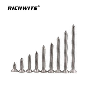 Tornillos Autorroscantes de Cabeza Plana Phillips de Acero Inoxidable GBT846, Pernos para Madera para Trabajos de Carpintería - Product Image 1