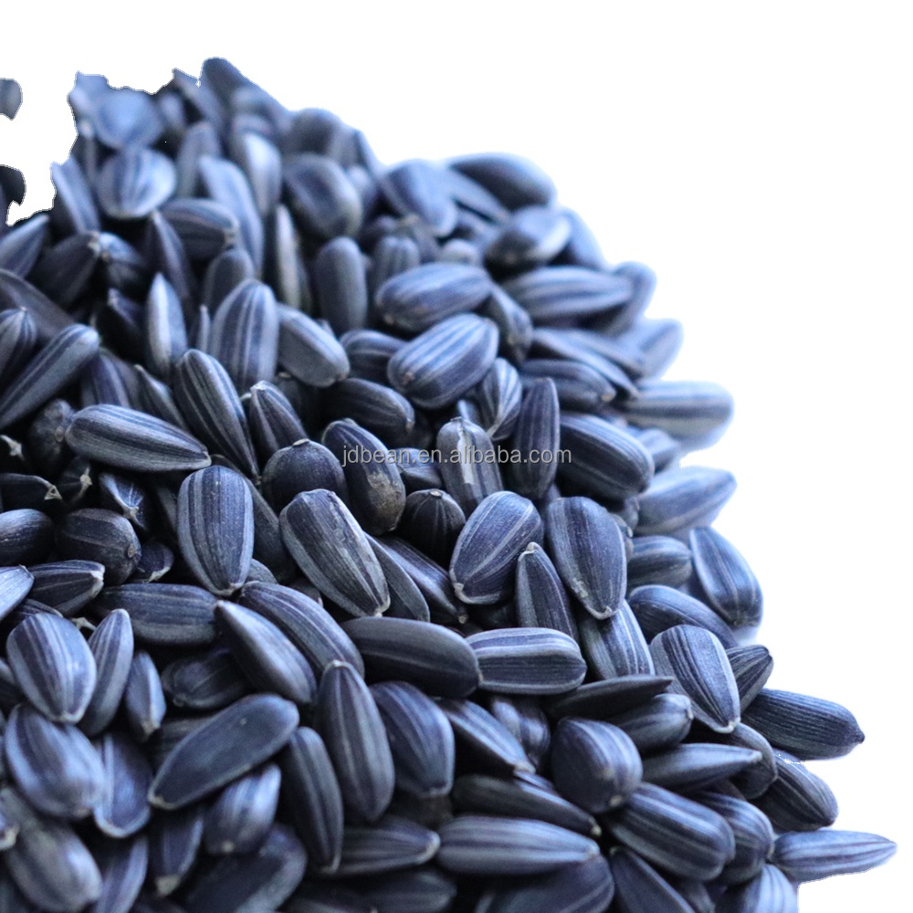 sunflower seeds for birds