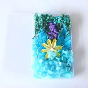 Vente en gros Mini fleurs séchées mélangées Eucalyptus naturel multicolore Matériaux séchés en vrac Petit emballage déco - Product Image 3