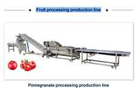 Industriële sapcentrifuge automatische verse vruchtenpers voor appel, wortel, mango, druiven, ananas, sapmachine voor kleine bedrijven