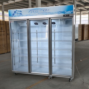 Petite <span class=keywords><strong>vitrine</strong></span> <span class=keywords><strong>réfrigérée</strong></span> <span class=keywords><strong>pour</strong></span> boissons commerciales avec contrôle mécanique de la température et étagères réglables - Product Image 4