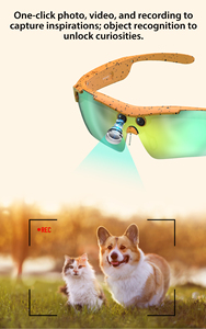 <span class=keywords><strong>Lunettes</strong></span> intelligentes ZHENQI G6-<span class=keywords><strong>PRO</strong></span> à monture monobloc intégrale avec verres traités anti-lumière bleue et traduction en temps réel par IA - Product Image 6