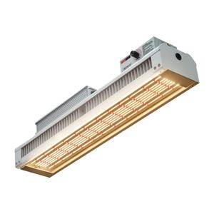 ไฟ LED สำหรับเรือนกระจกเชิงพาณิชย์ประสิทธิภาพสูง 200W Lm301h ระบบสเปกตรัมเต็ม UV IR สำหรับพืชผลผลิตสูง - Product Image 3