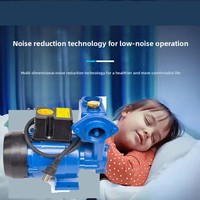 Pompe de surpression automatique domestique en fonte pour climatisation et pressurisation des conduites d'eau 220V