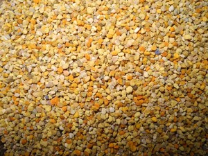 Granulés et poudre de <span class=keywords><strong>pollen</strong></span> <span class=keywords><strong>d</strong></span>'<span class=keywords><strong>abeille</strong></span> mélangés, qualité alimentaire, complément alimentaire naturel - Product Image 1