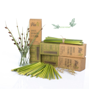 หลอดหญ้าแบบใช้แล้วทิ้งเป็นมิตรกับสิ่งแวดล้อม / ทางเลือกที่ปลอดภัยเพื่อสุขภาพของคุณ - Product Image 6