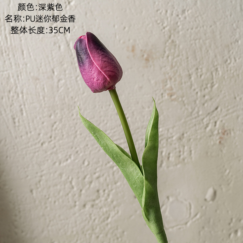 Viola intenso