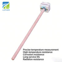 Laiyuan Menyediakan Termokopel Tipe S 1400c Ptrh untuk Tungku Gigi